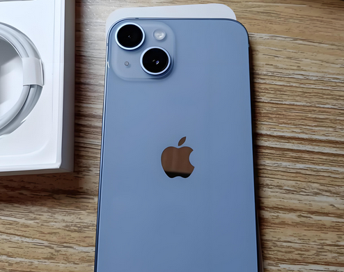 南城街道苹果14杂音维修分享怎么处理苹果14手机接打电话有杂音 